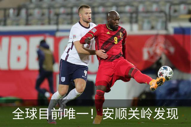 全球目前唯一！安顺关岭发现