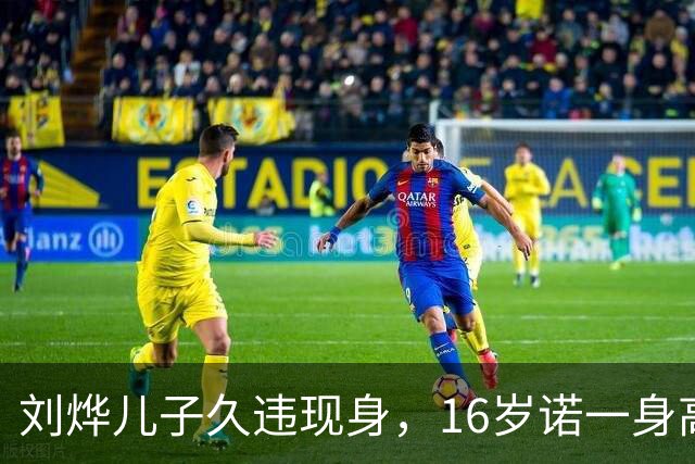 刘烨儿子久违现身，16岁诺一身高超180，过了容貌尴尬期变更帅了