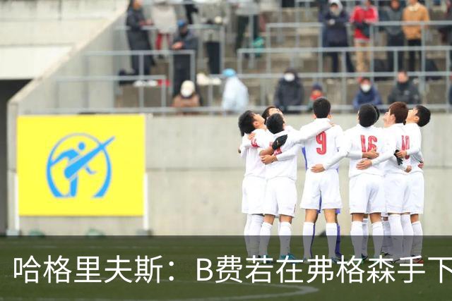 哈格里夫斯：B费若在弗格森手下说这话，就没机会再上场了