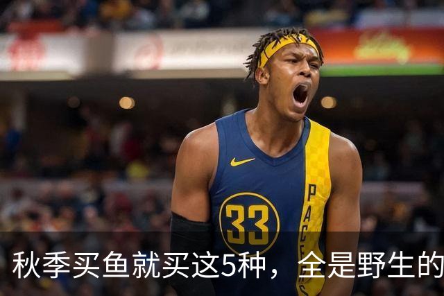 秋季买鱼就买这5种，全是野生的，人工养不了，比养殖鱼更香