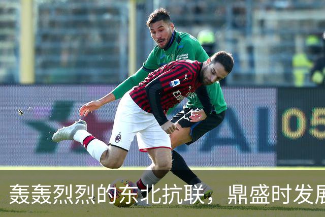 轰轰烈烈的东北抗联，鼎盛时发展到3万人，为什么到1940年就失败了？